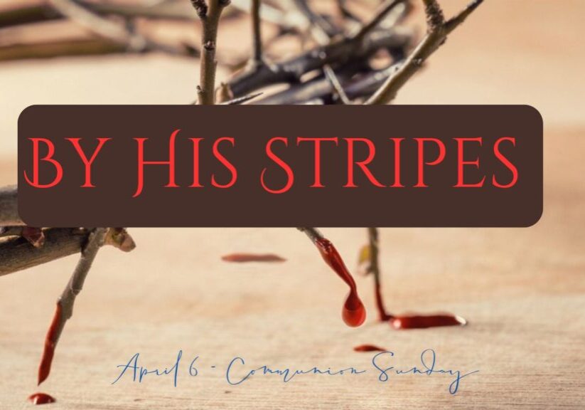 By His Stripes (1) By His Stripes (1)