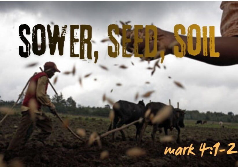 sower, seed, soil